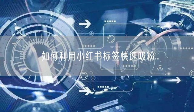 如何利用小红书标签快速吸粉