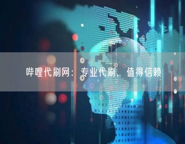 哔哩代刷网：专业代刷，值得信赖