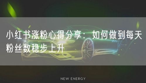 小红书涨粉心得分享：如何做到每天粉丝数稳步上升