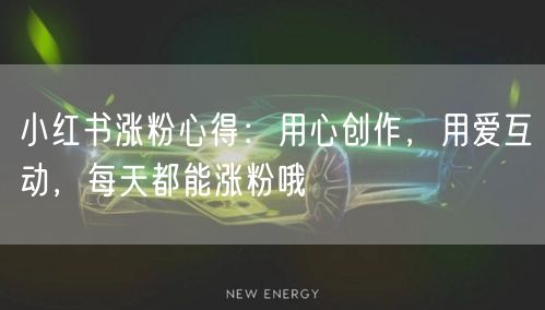 小红书涨粉心得：用心创作，用爱互动，每天都能涨粉哦