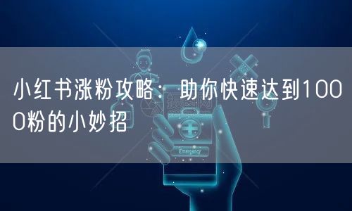 小红书涨粉攻略：助你快速达到1000粉的小妙招