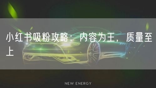 小红书吸粉攻略：内容为王，质量至上