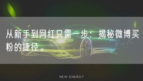 从新手到网红只需一步：揭秘微博买粉的捷径。