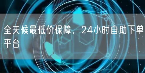 全天候最低价保障，24小时自助下单平台