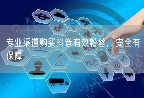 专业渠道购买抖音有效粉丝，安全有保障